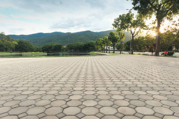 Best Local Driveway Pavers  in Claremont, NC